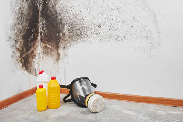 Fort Atkinson, WI Mold Removal Company
