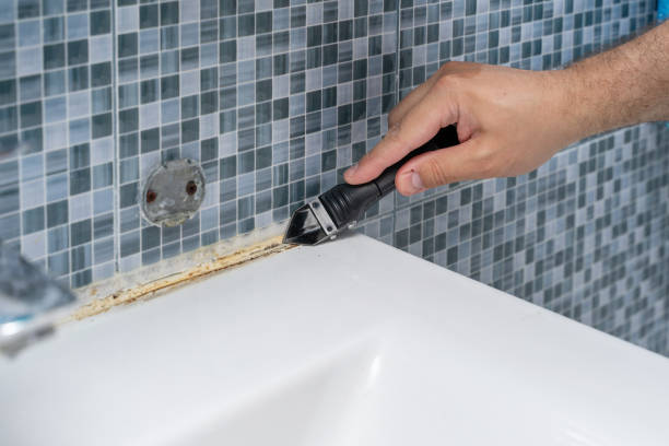 Best Best Mold Removal Companies  in Fort Atkinson, WI