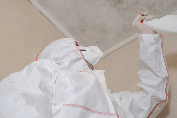 Best Fast Mold Removal  in Fort Atkinson, WI