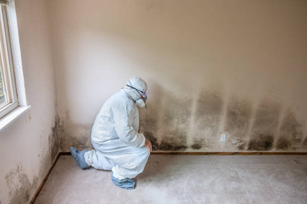 Best Mold Testing  in Fort Atkinson, WI