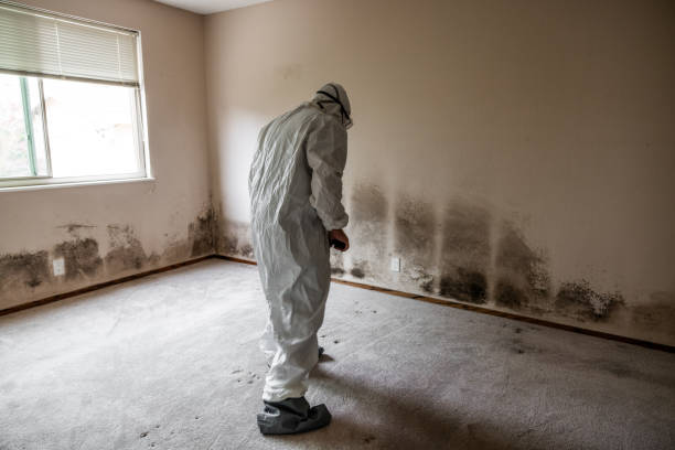 Best Residential Mold Removal  in Fort Atkinson, WI